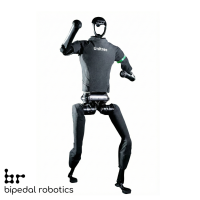 H1 robot