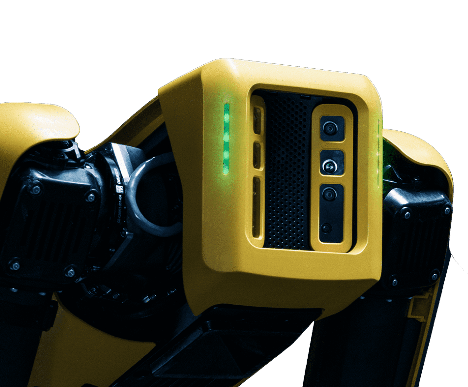 Spot robot