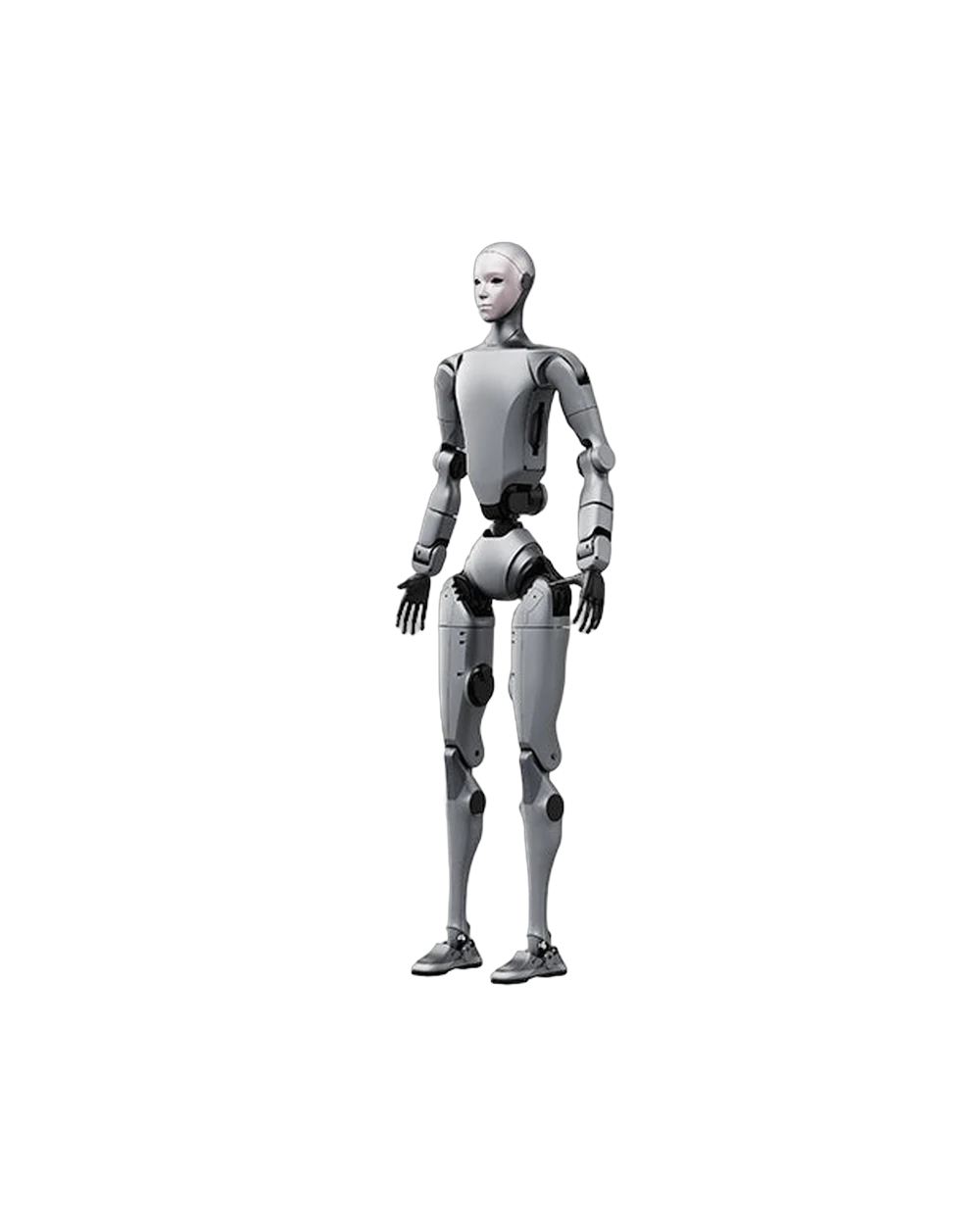 H2 robot