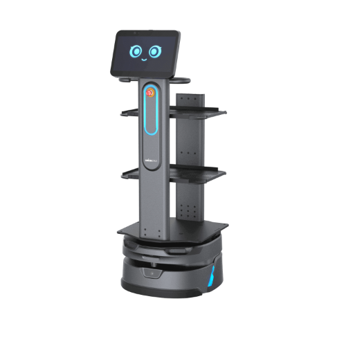 CarryBot robot