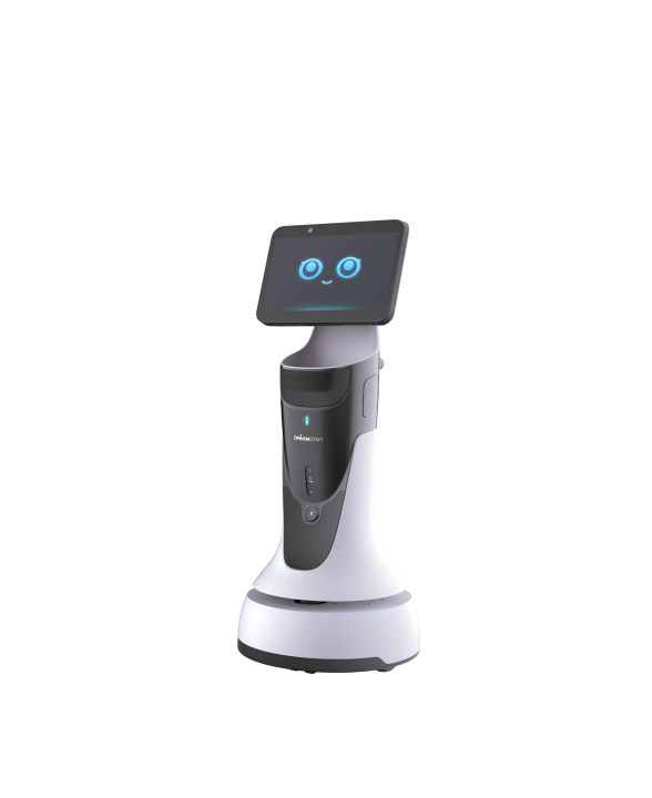 GreetingBot Mini robot