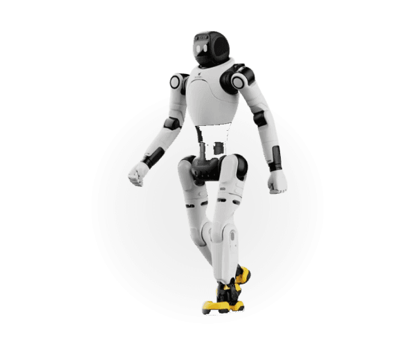 X2 robot