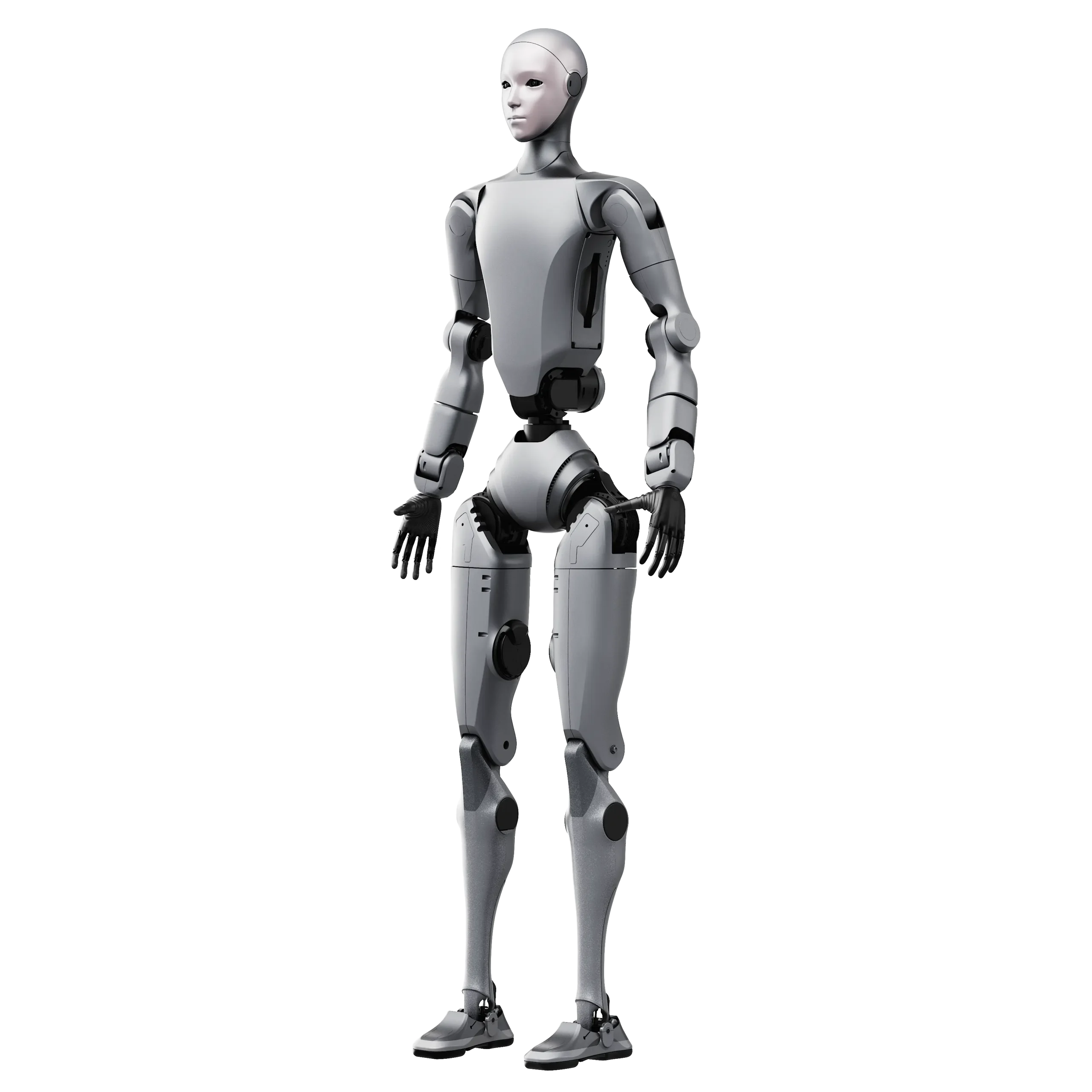 H2 robot