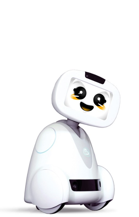 Buddy robot