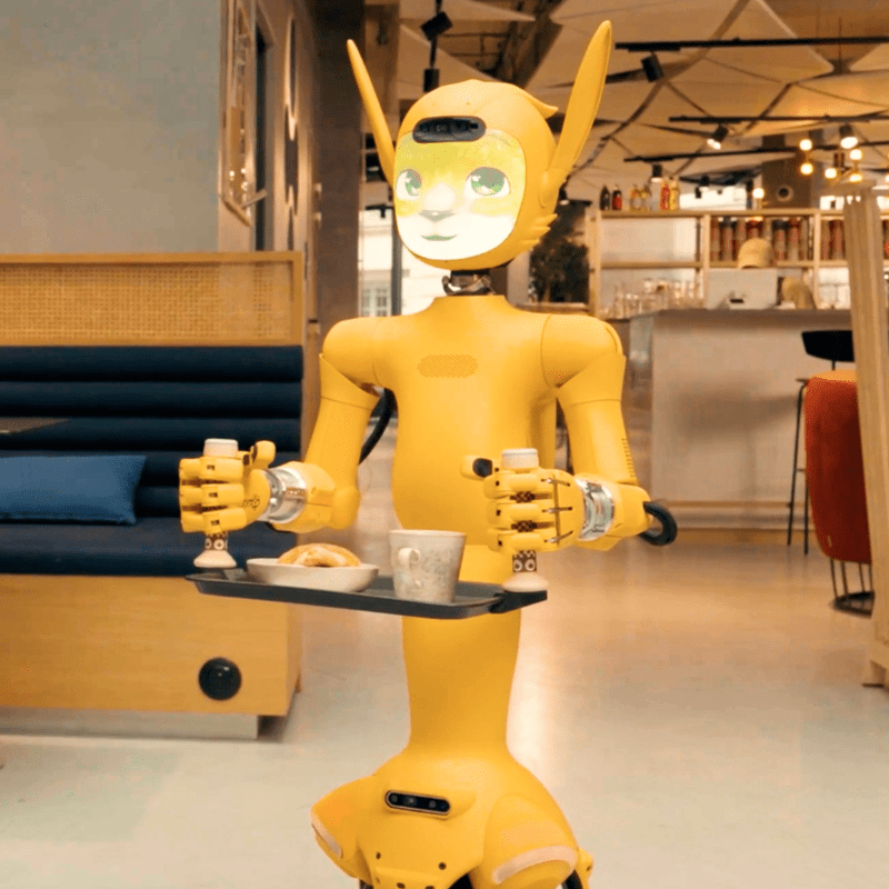 Miroka robot