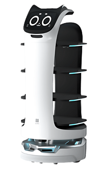 BellaBot robot