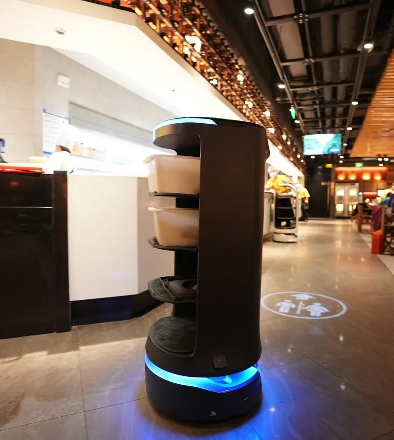 HolaBot robot