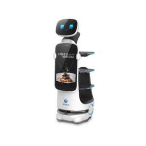 T10 robot