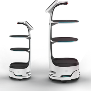 T8 robot