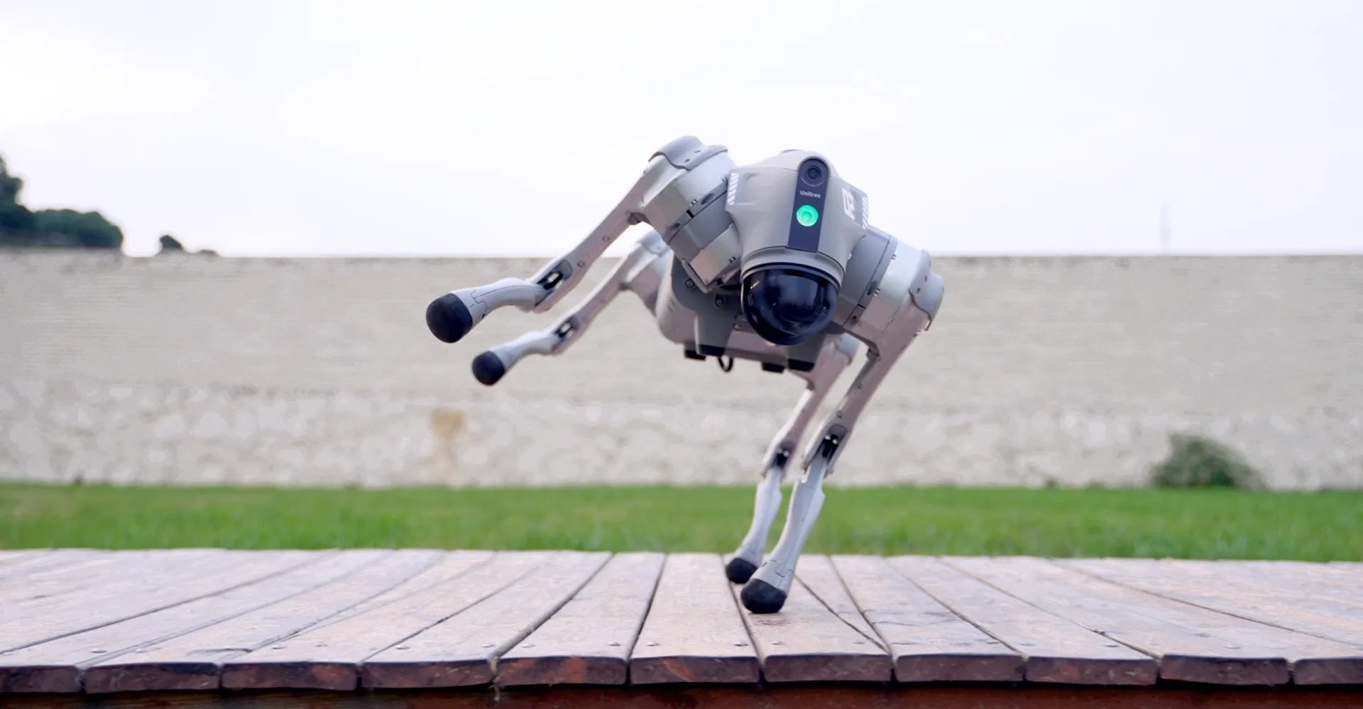 Go2 robot
