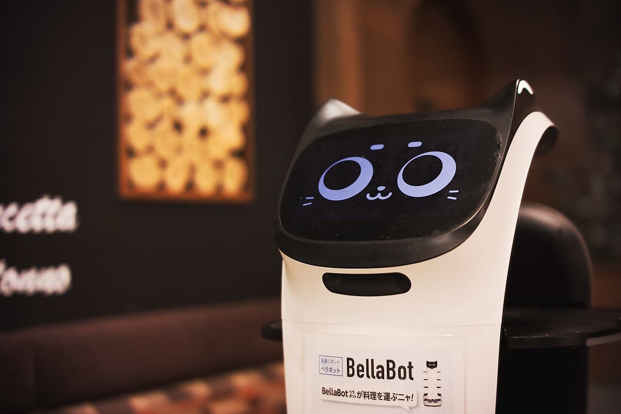 BellaBot robot