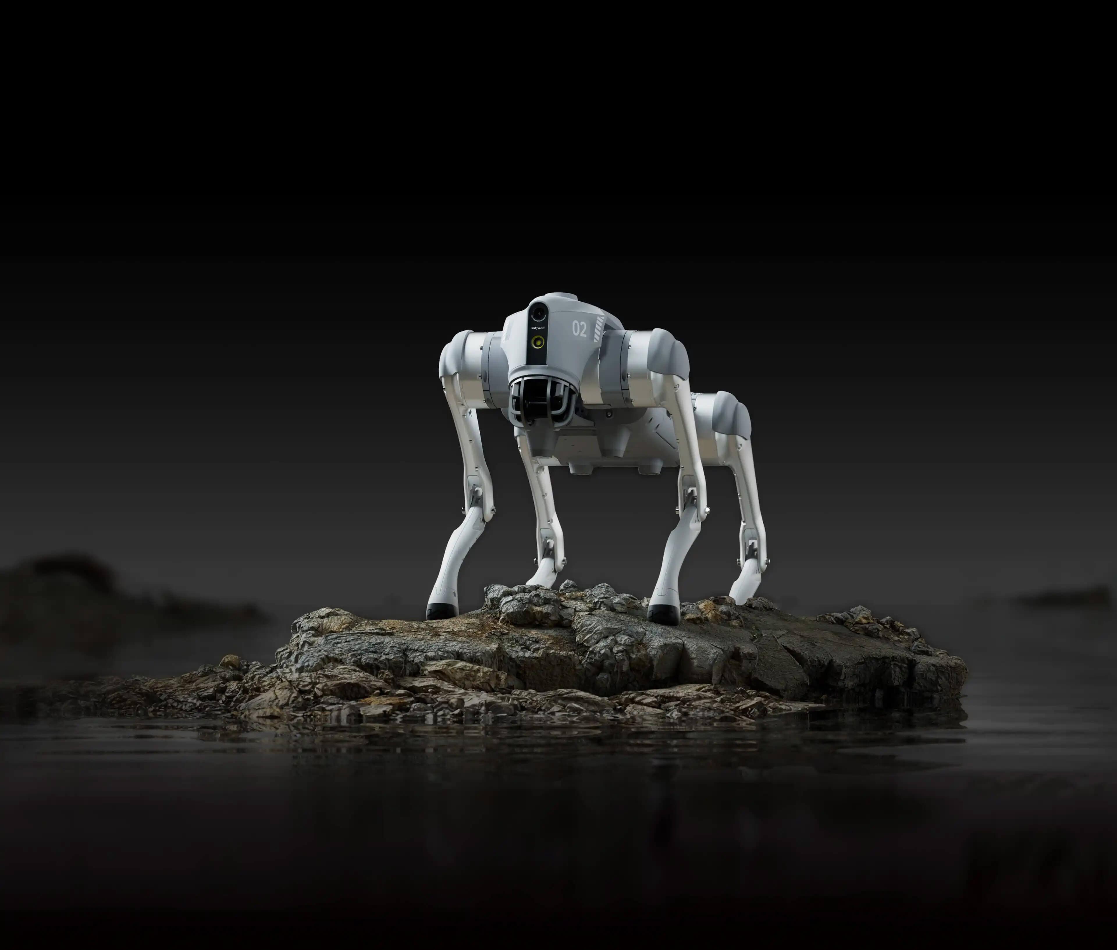Go2 robot