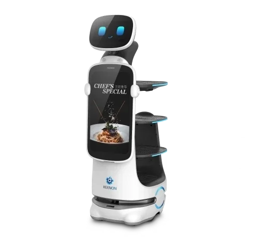 T10 robot