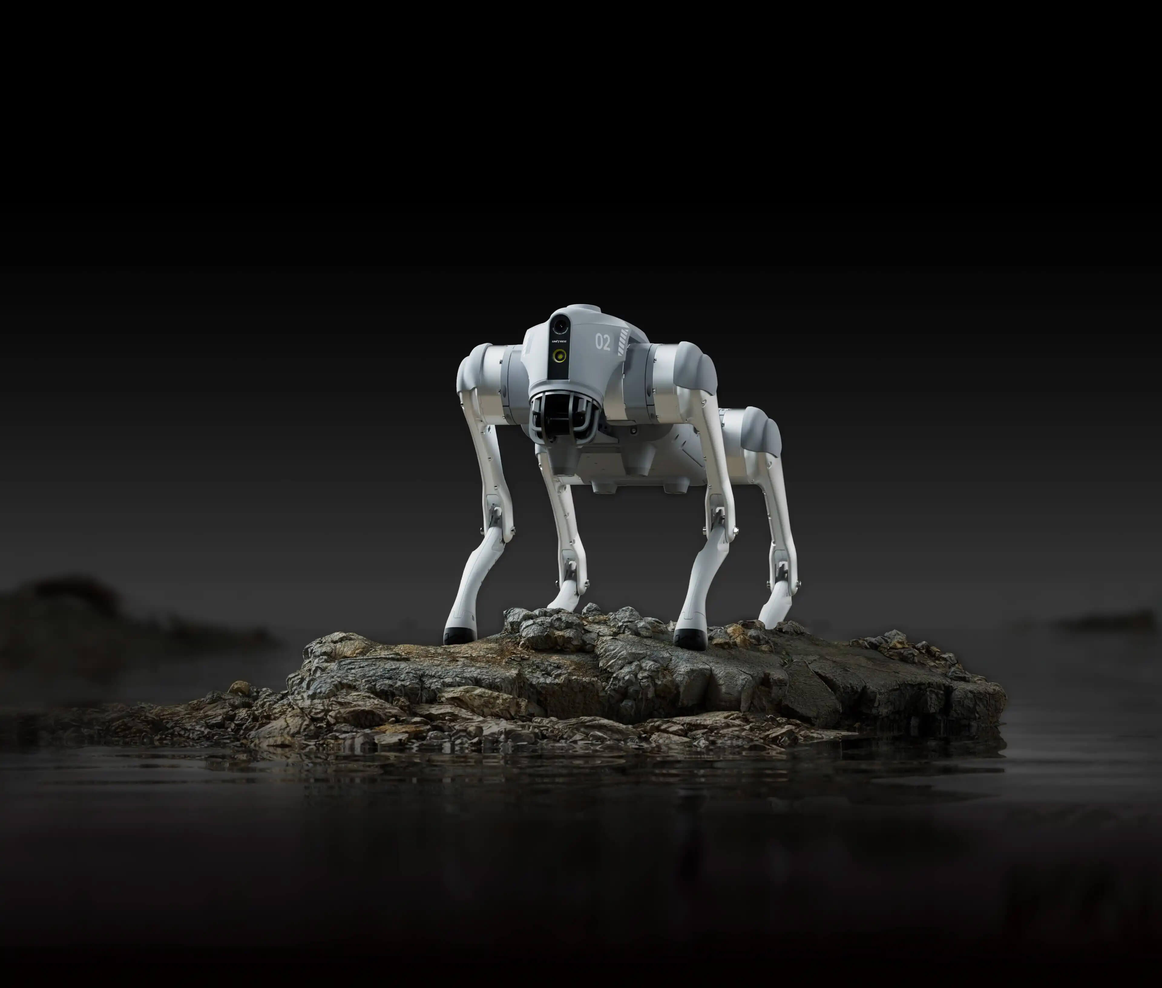 Unitree Go2 quadruped robot standing on a rock
